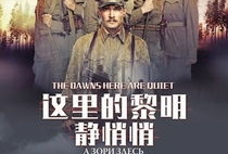 这里的黎明静悄悄电视剧,揭秘战争背后的生死抉择
