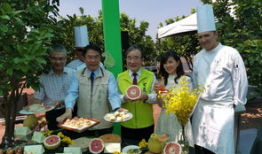 南麻豆,探寻古老文化的瑰宝与传承