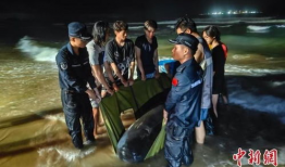 韩国污漫画,揭秘成人娱乐产业的灰色地带